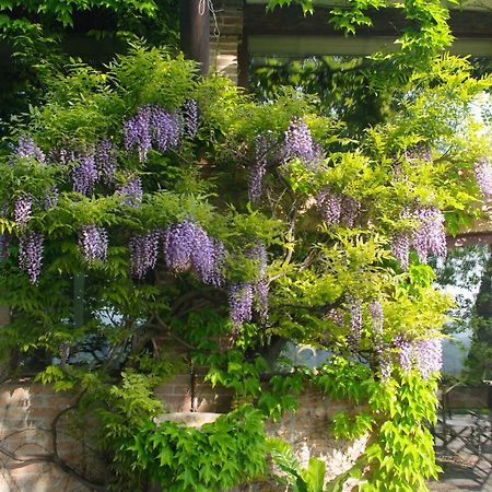 La Casa Sopra Le Nuvole Villa Medesano Екстериор снимка